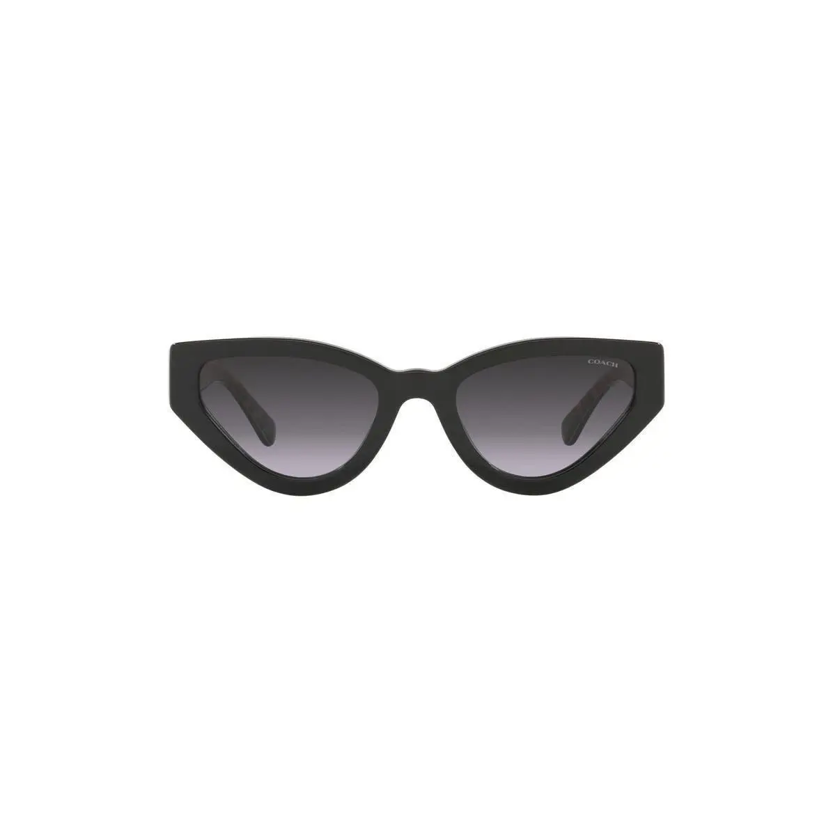 Coach Women 52mm Cat Eye Sunglasses Black