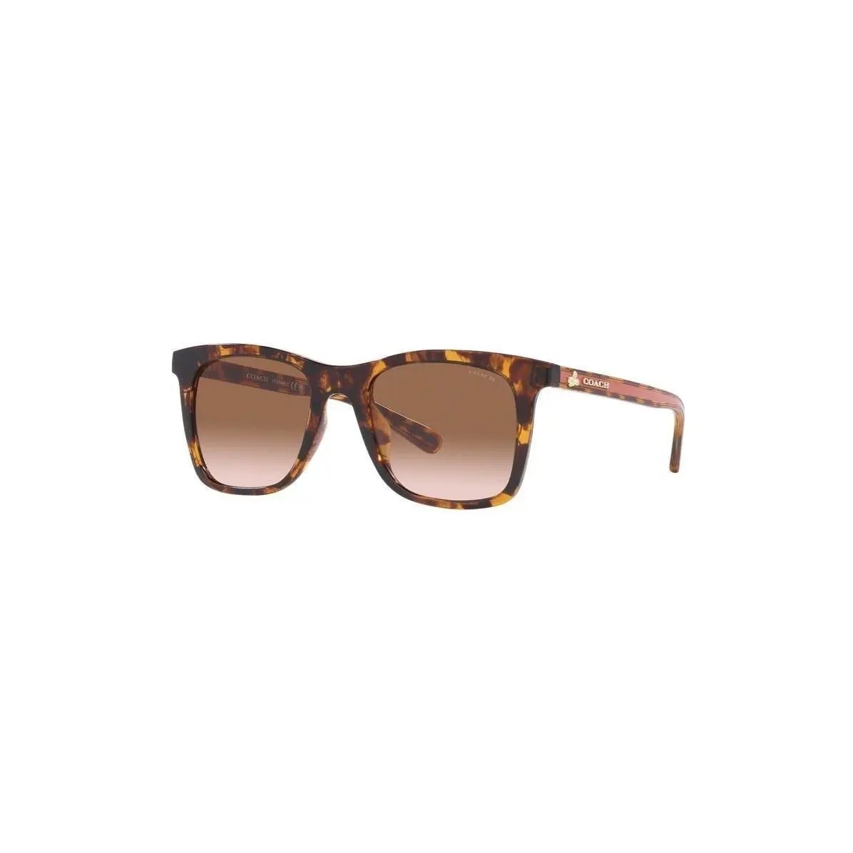 Coach Men 51mm Gradient Square Sunglasses Dk Tort