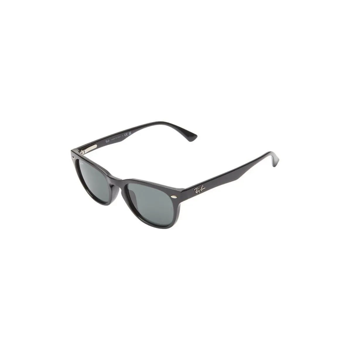 Ray-ban Women Retro Wayfarer Sunglasses Black