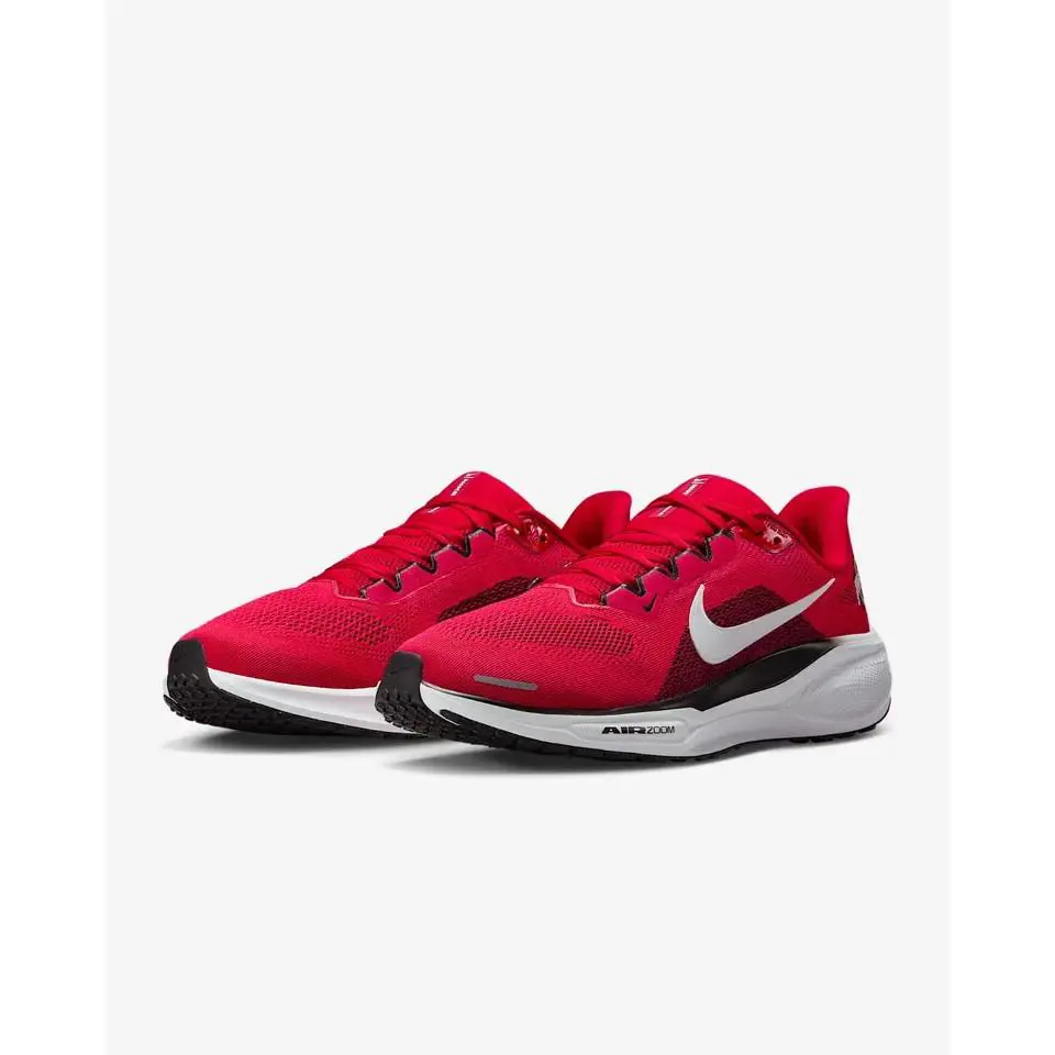 Nike shoes - Nike Air Zoom Pegasus 41 - IB3254 600 - Red 0