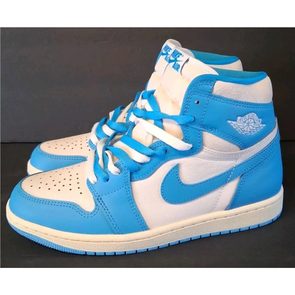 Nike shoes - Air Jordan 1 - Air - DZ5485-402 - DK powder blue 10