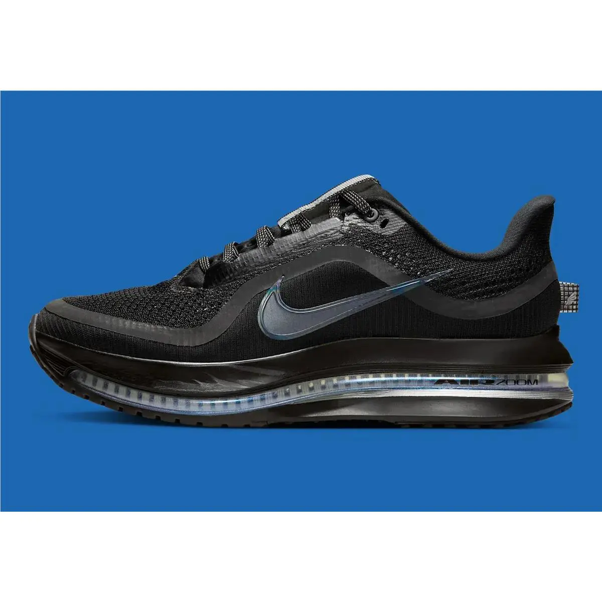 Nike shoes - Nike W Pegasus - Pegasus - HQ2593 004 - Black 0