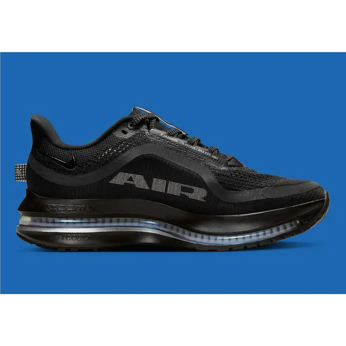 Nike shoes - Nike W Pegasus - Pegasus - HQ2593 004 - Black 1
