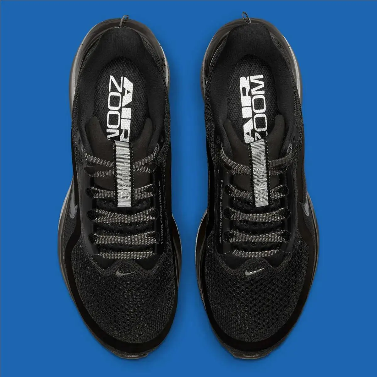 Nike shoes - Nike W Pegasus - Pegasus - HQ2593 004 - Black 2