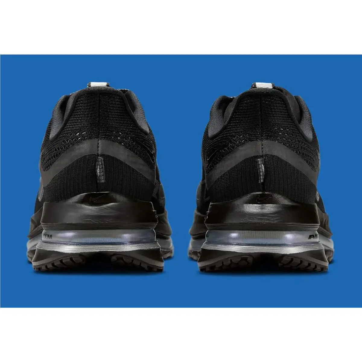 Nike shoes - Nike W Pegasus - Pegasus - HQ2593 004 - Black 3