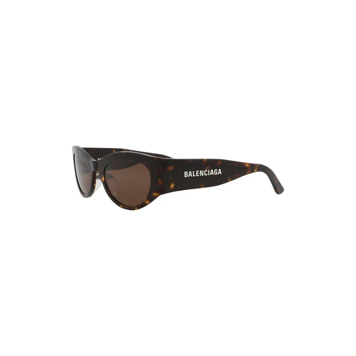 Balenciaga Women 54mm Cat Eye Sunglasses Havana Havana Brown
