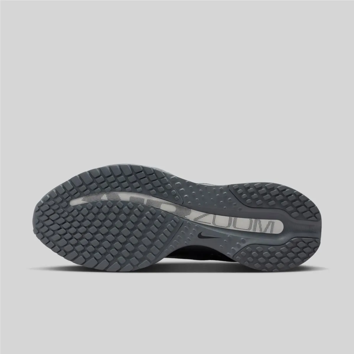 Nike shoes - Nike Air Zoom Pegasus 41 - HQ2592-013 - Gray 1