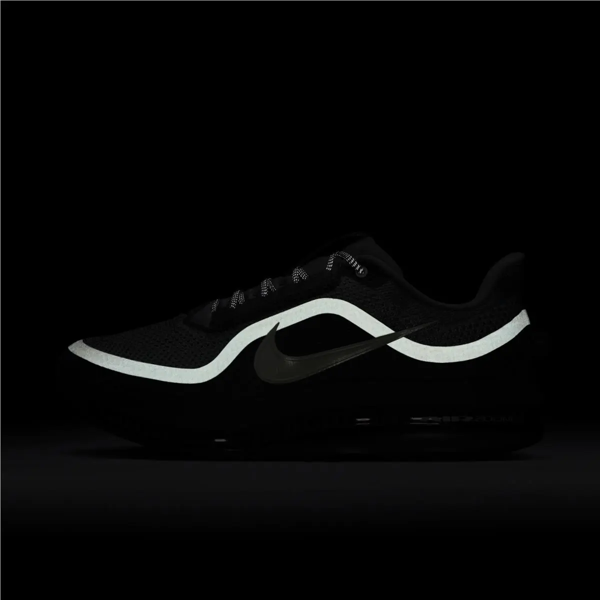 Nike shoes - Nike Air Zoom Pegasus 41 - HQ2592-013 - Gray 7