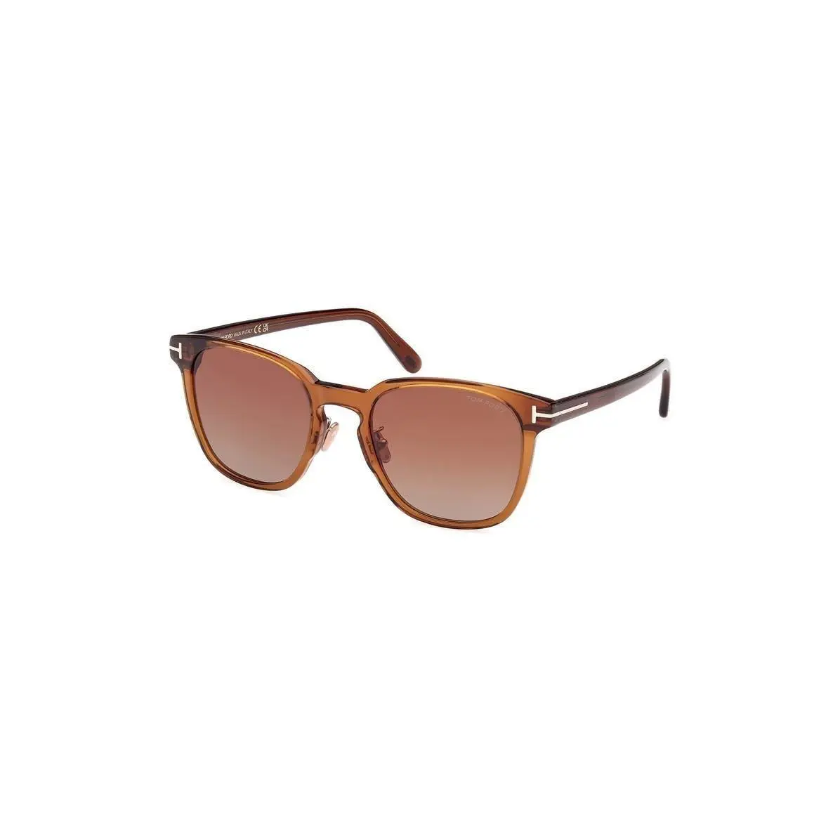 Tom Ford Women 56mm Gradient Round Sunglasses Light Brown / Gradie