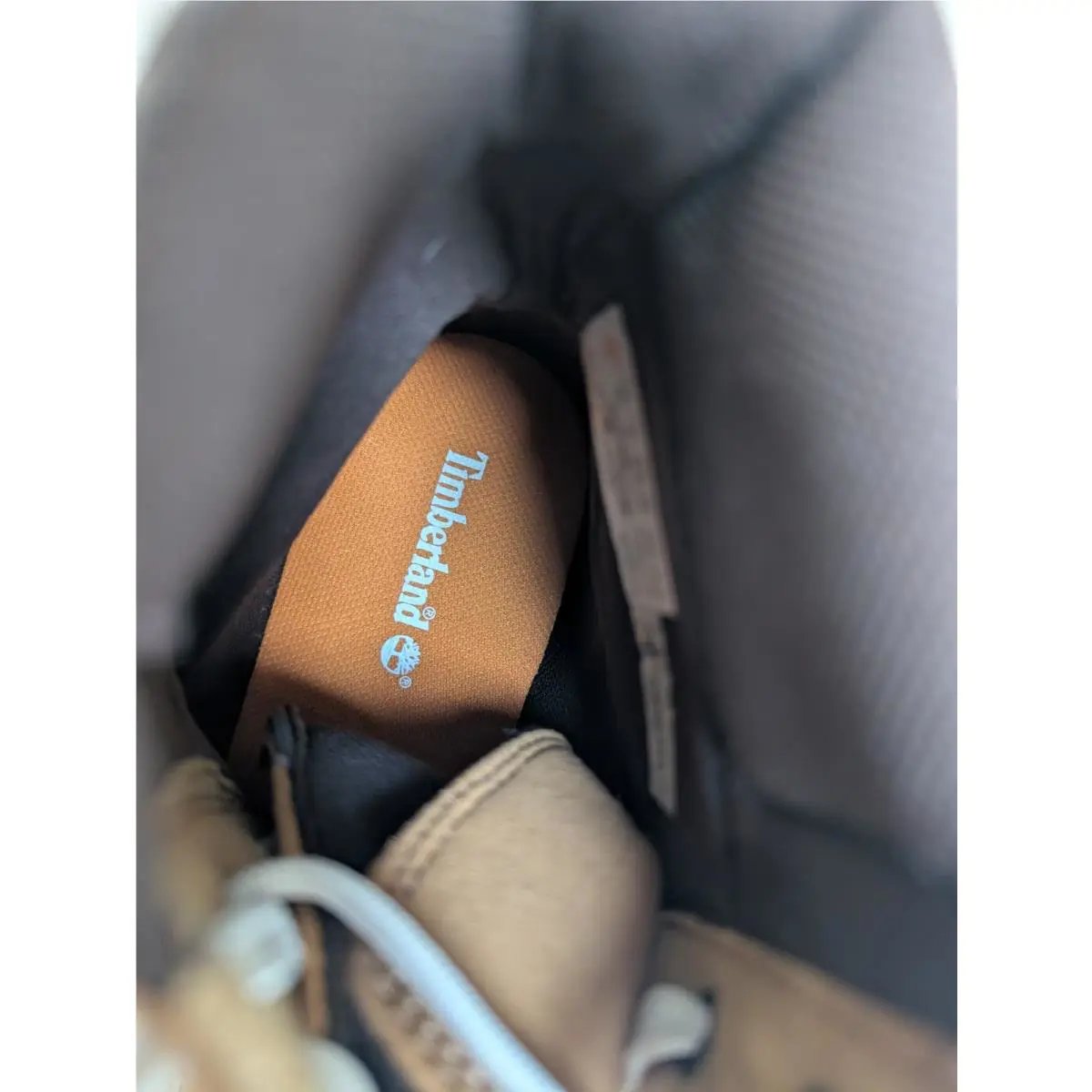 Timberland shoes - Timberland Maple Grove - Maple Grove - A69HH-EM6 - Well Thats a Good Question..Tan? 11