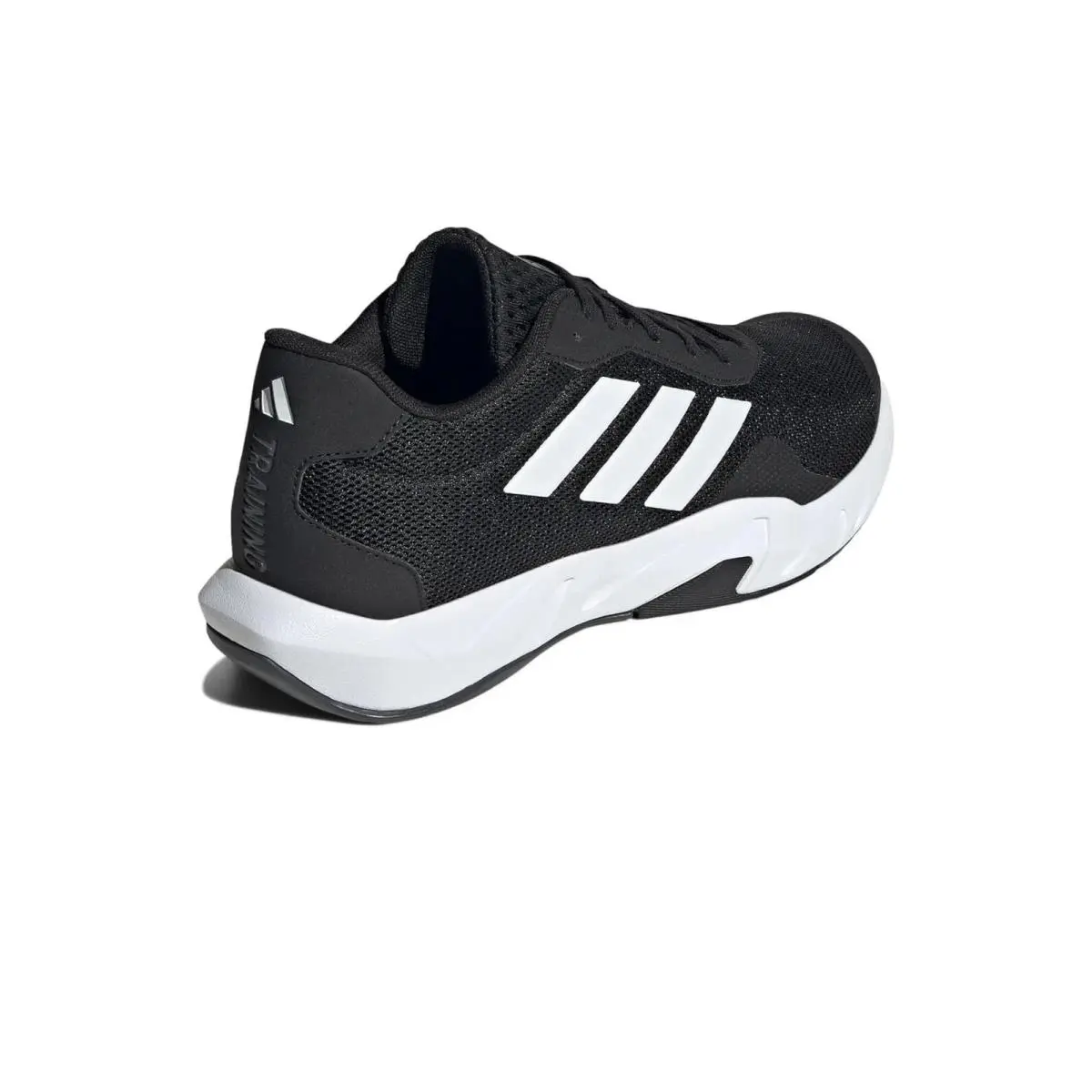 Adidas shoes - adidas Trainer - Trainer - IF0953 - Black 1