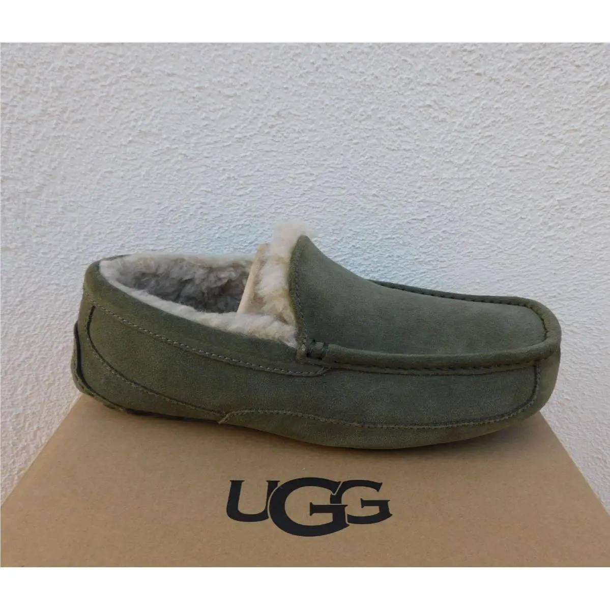 UGG shoes - UGG Ascot - Ascot - Green 1