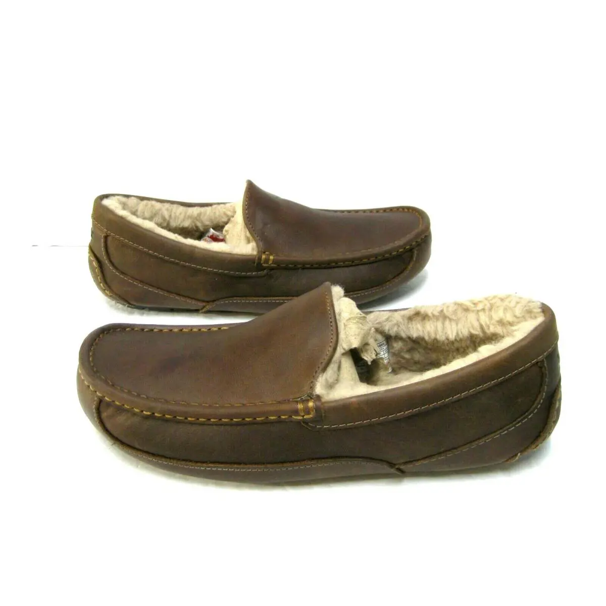 UGG shoes - UGG ASCOT - ASCOT - Tan 1