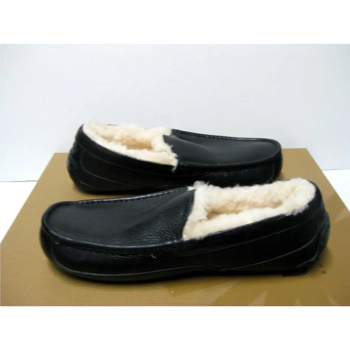 UGG shoes - ASCOT - ASCOT - Black 1