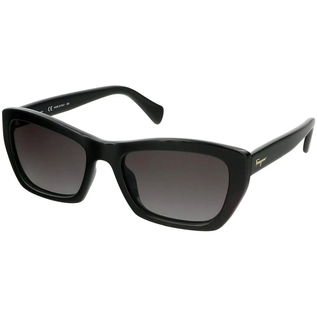 Salvatore Ferragamo Women`s Sunglasses Full Rim Frame Salvatore FERRAGAMO958S 1