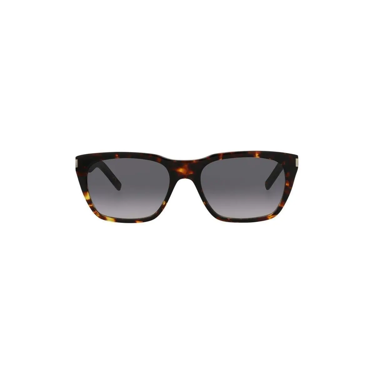 Saint Laurent Men 56mm Square Sunglasses Havana Havana Grey