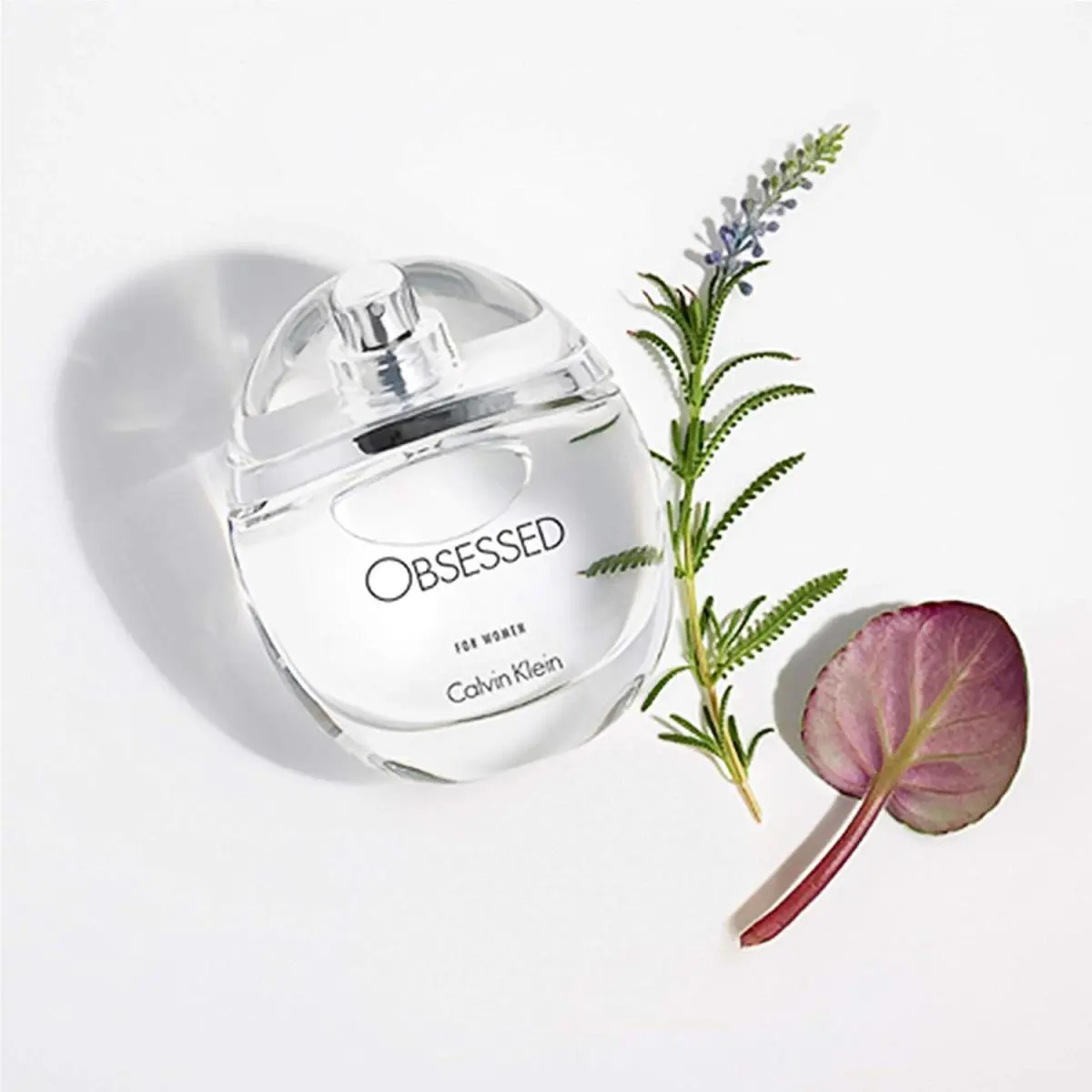 Tester Women Obsessed by Calvin Klein 3.4 Oz- 100ml Edp Spray / Nitb /