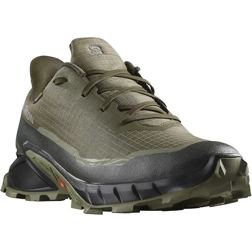 Salomon shoes - Olive night/Black deep/Lichen green 0