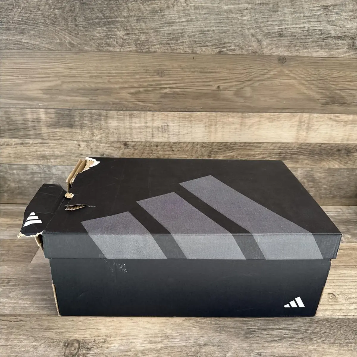 Adidas shoes - adidas Questar 3 - Questar - JI4616 - White (UPC: 197615396427) 16