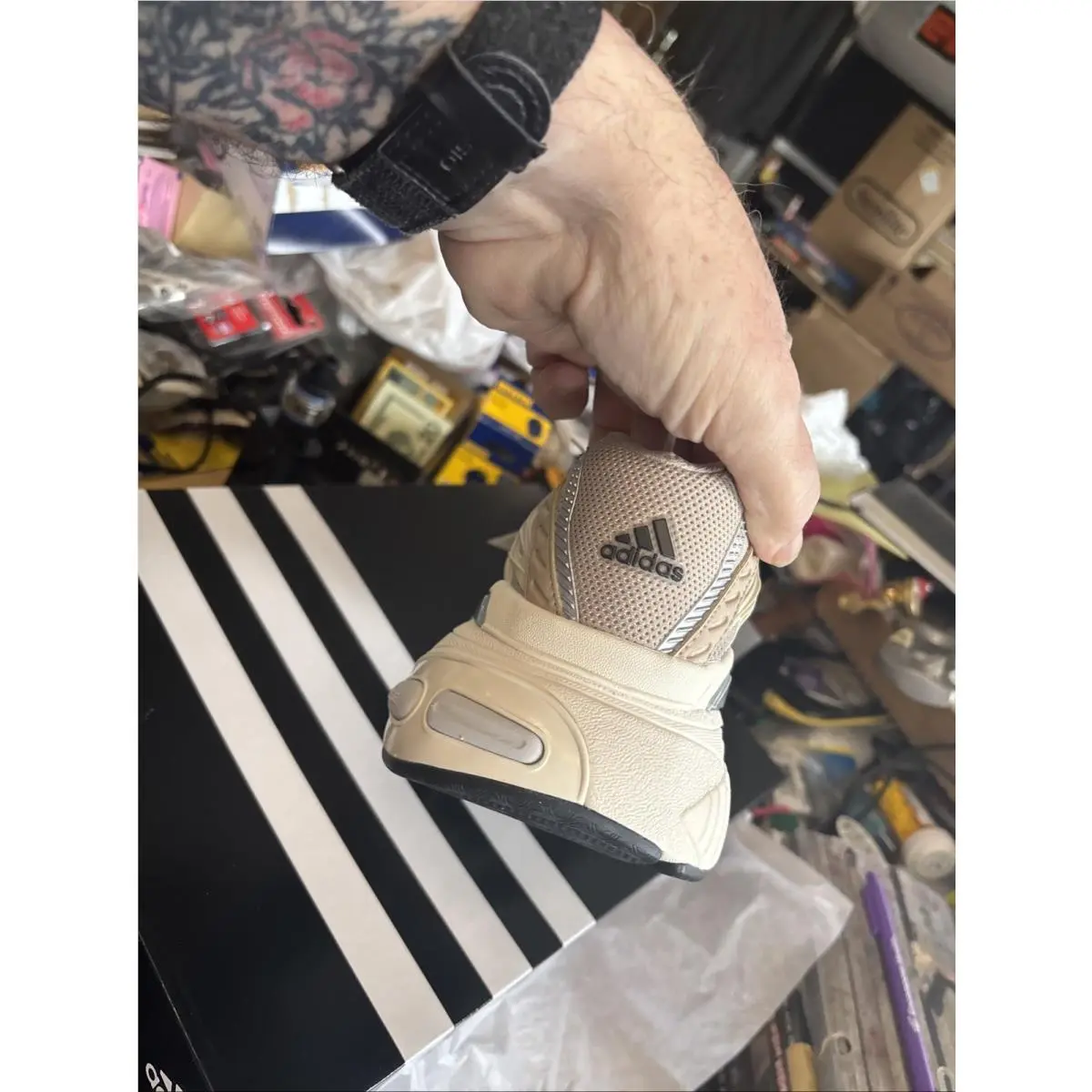 Adidas shoes - adidas adistar - adistar - Beige 3