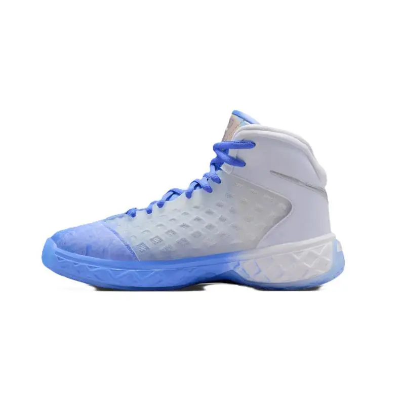 Nike shoes - Royal Pulse/Chrome/White 1
