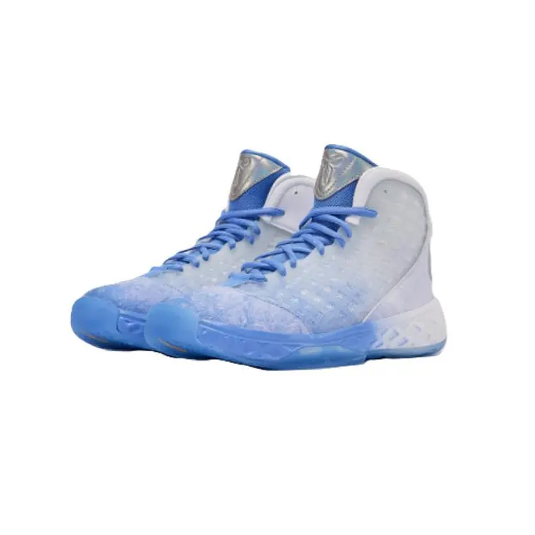 Nike shoes - Royal Pulse/Chrome/White 8
