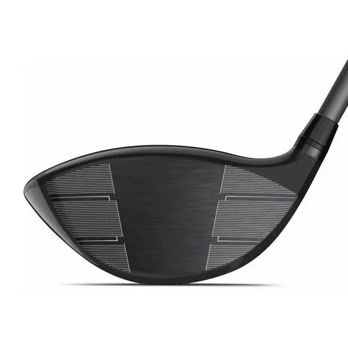 Wilson  1