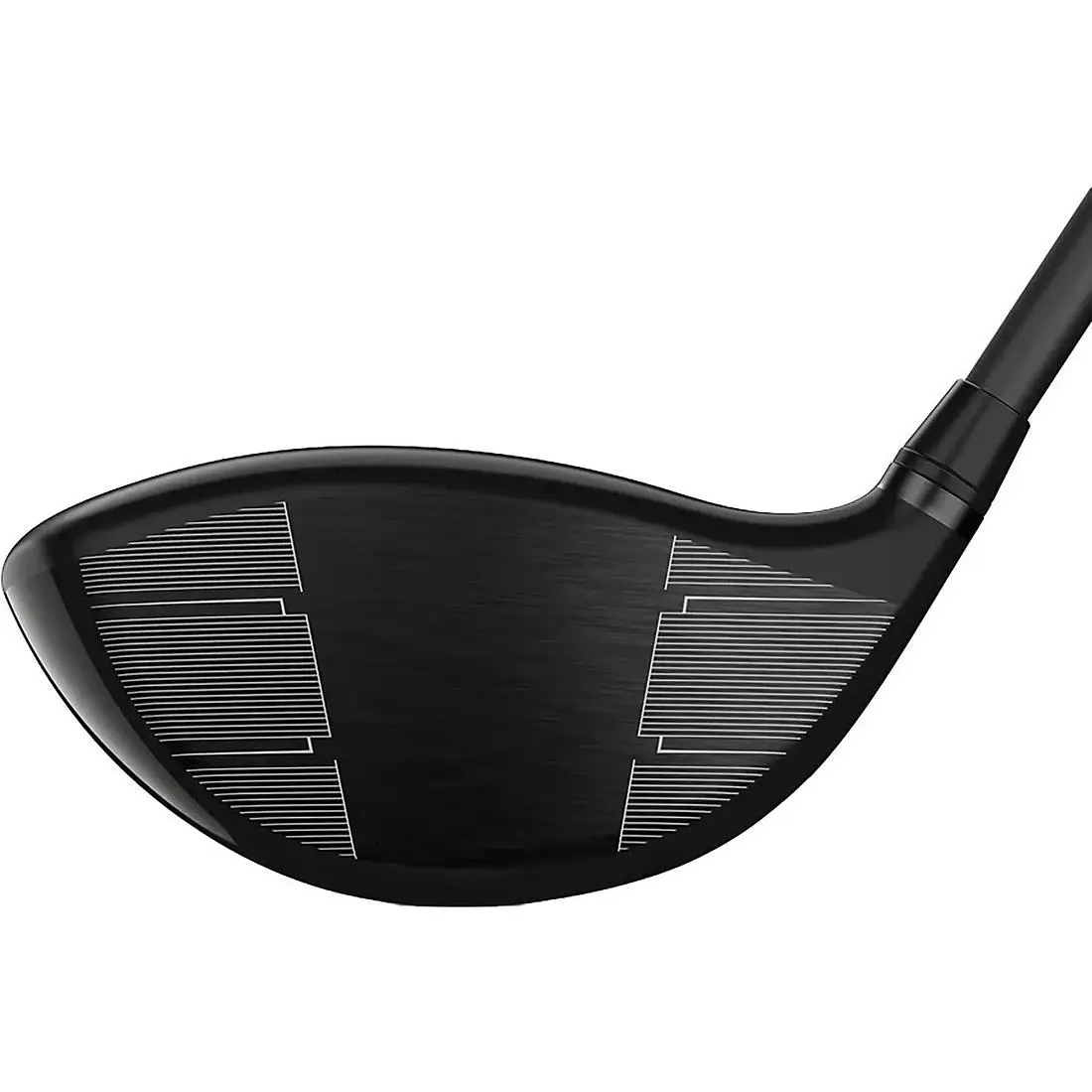 Wilson  1