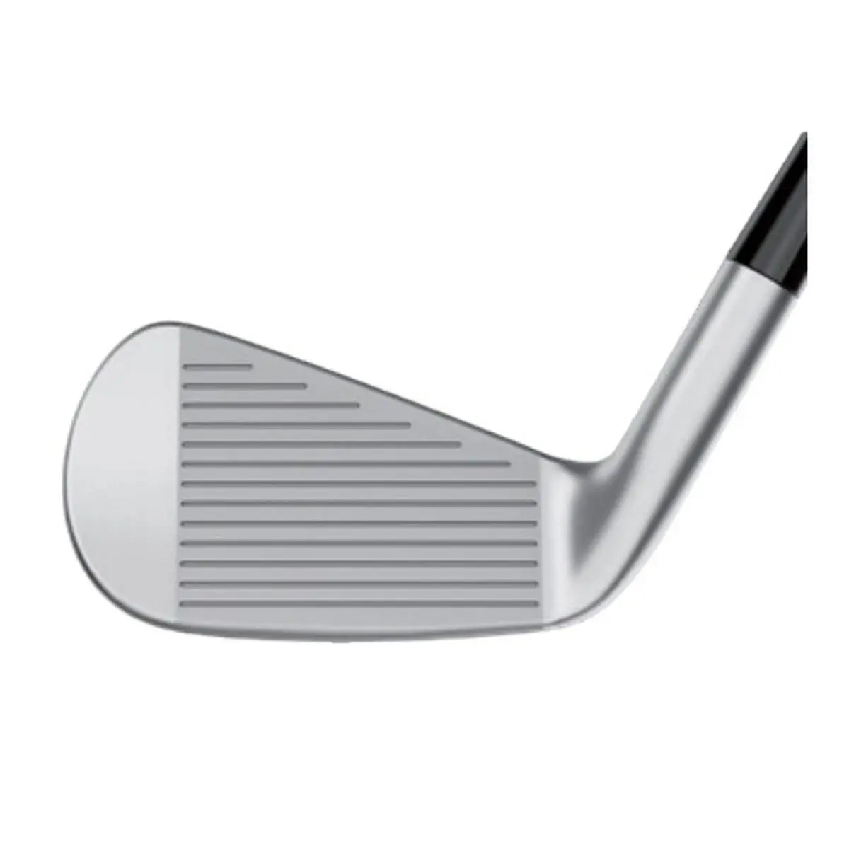 TaylorMade  - P-UDI (2024) 6