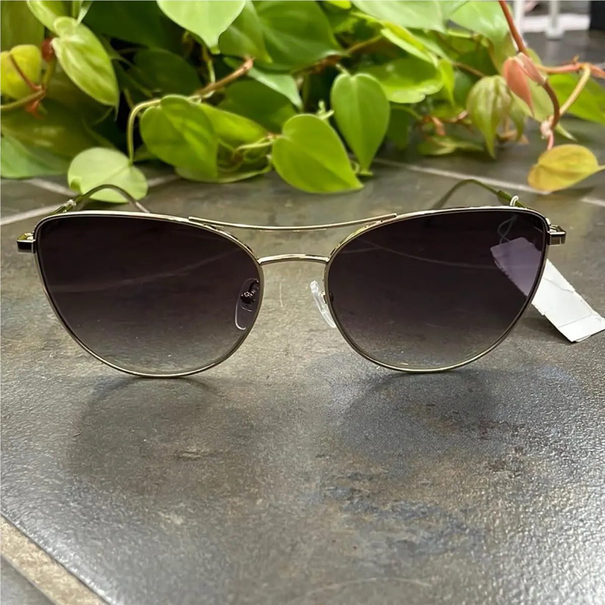 Longchamp Aviator Brow Bar Sunglasses