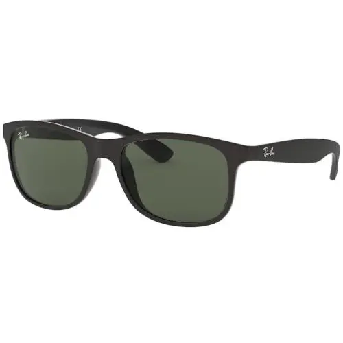 Ray-ban RB 4202 Matte Black on Black 606971 Sunglasses