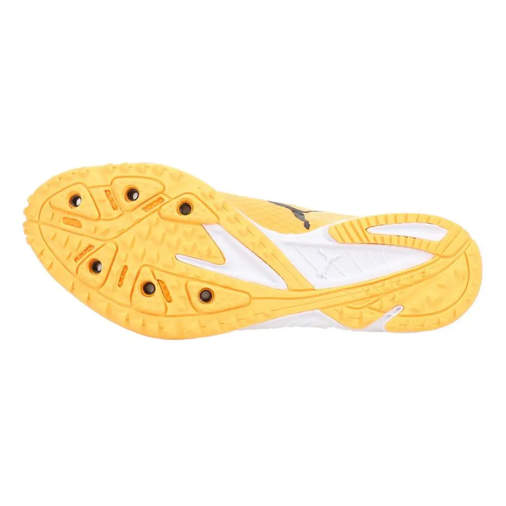 Puma shoes - PUMA Evospeed Haraka 8 Track  Field - 31093001 - Orange 3
