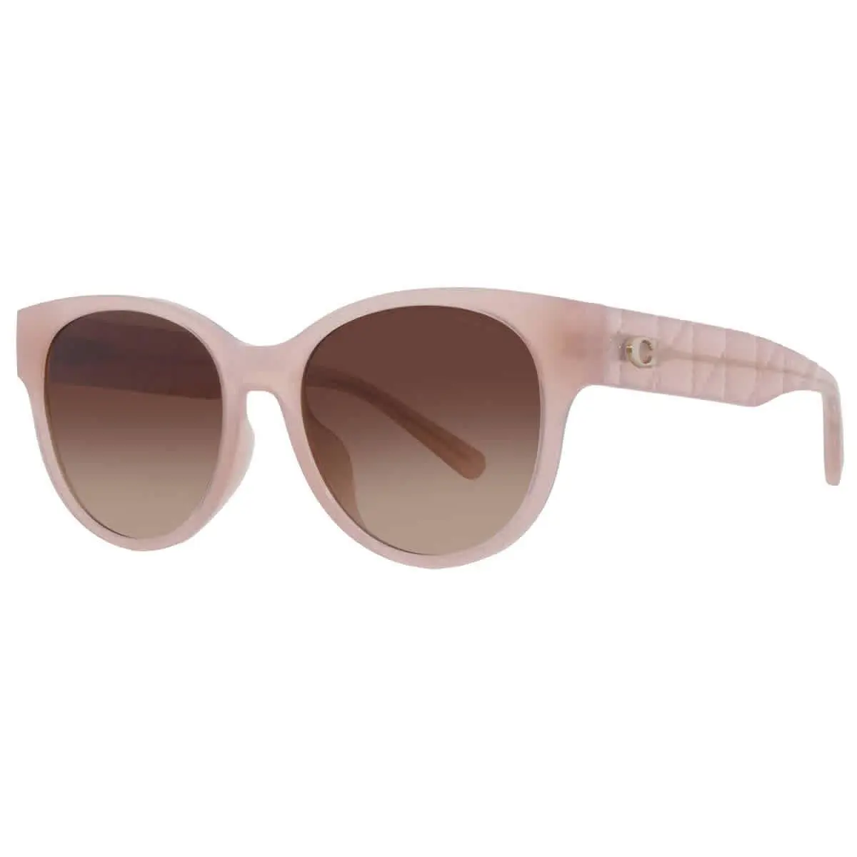 Coach Gradient Brown Oval Ladies Sunglasses HC8430D 511374 56 HC8430D 511374 56