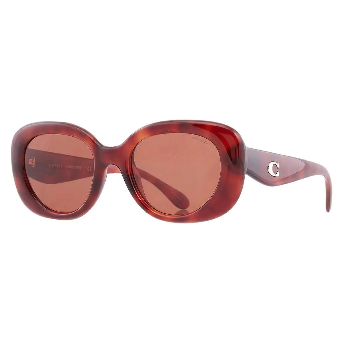 Coach Brown Oval Ladies Sunglasses HC8391U 577473 53 HC8391U 577473 53