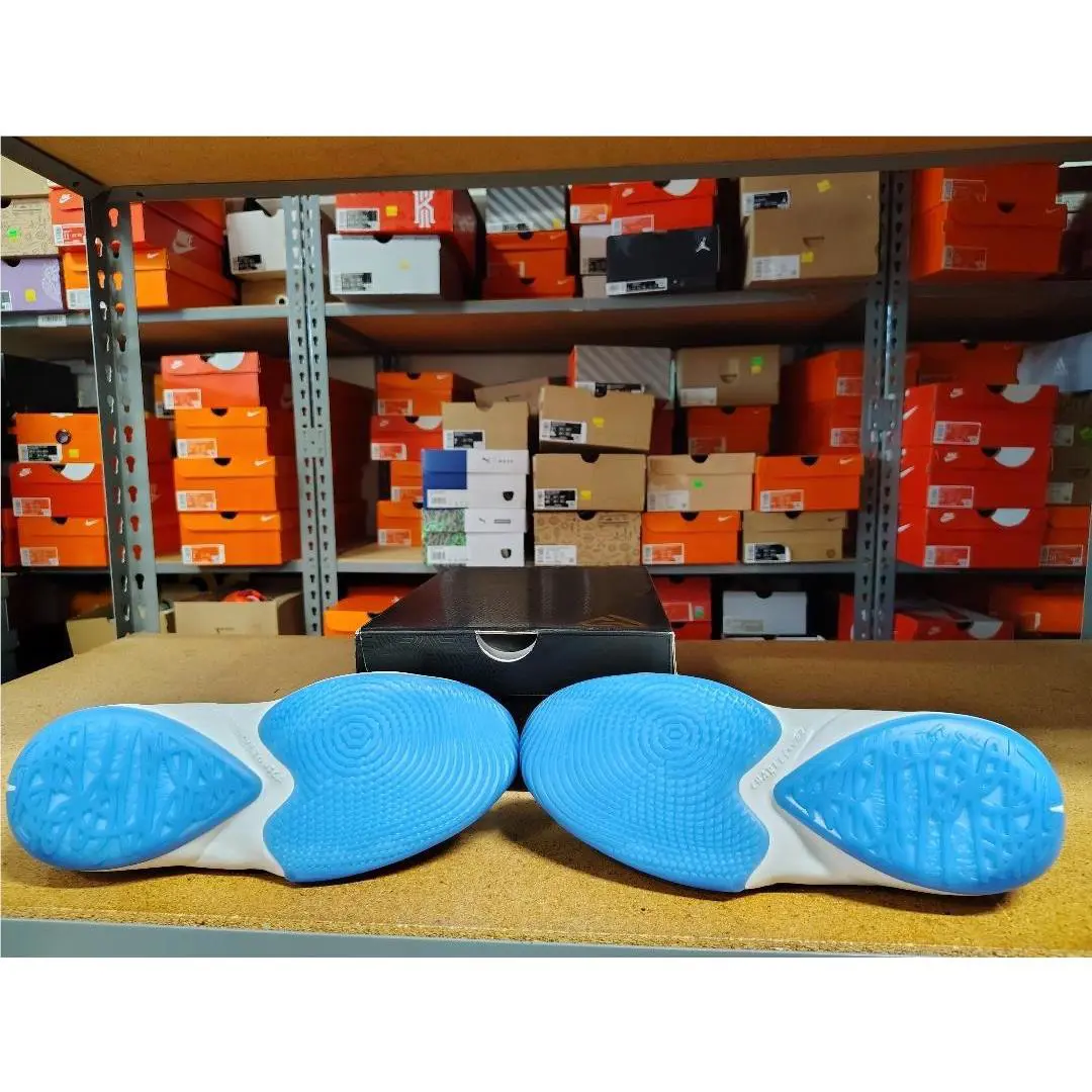 Nike shoes - Nike Zoom Freak 2 GS - Signal Blue Summit White 2
