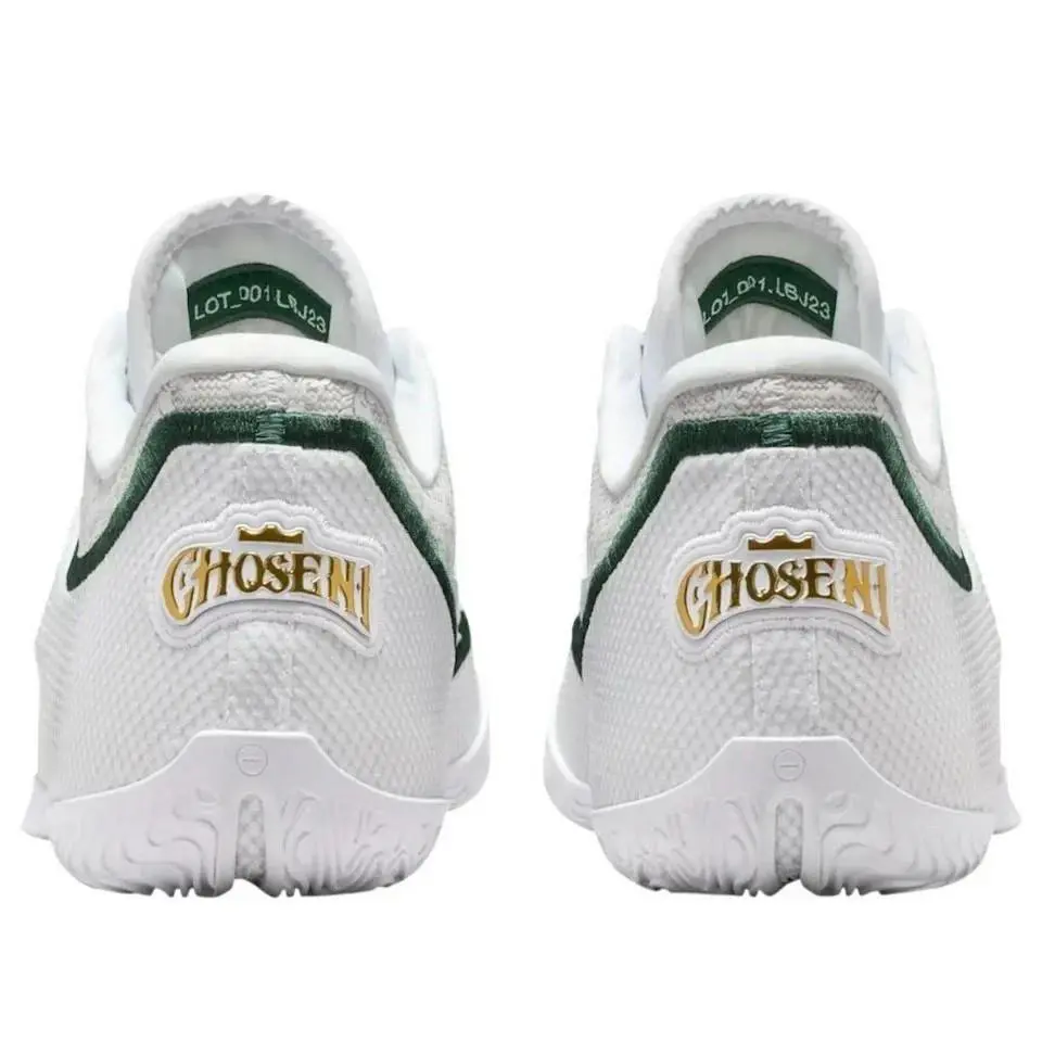 Nike shoes - Nike Air Zoom LeBron - Air Zoom LeBron - HJ5629 101 - White 1