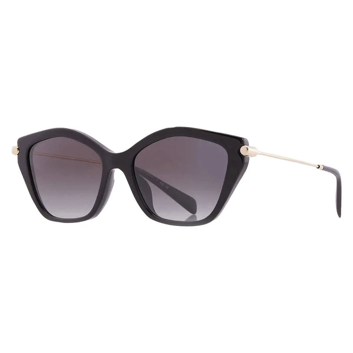 Michael Kors Catskills Dark Gray Gradient Butterfly Ladies Sunglasses MK2246U