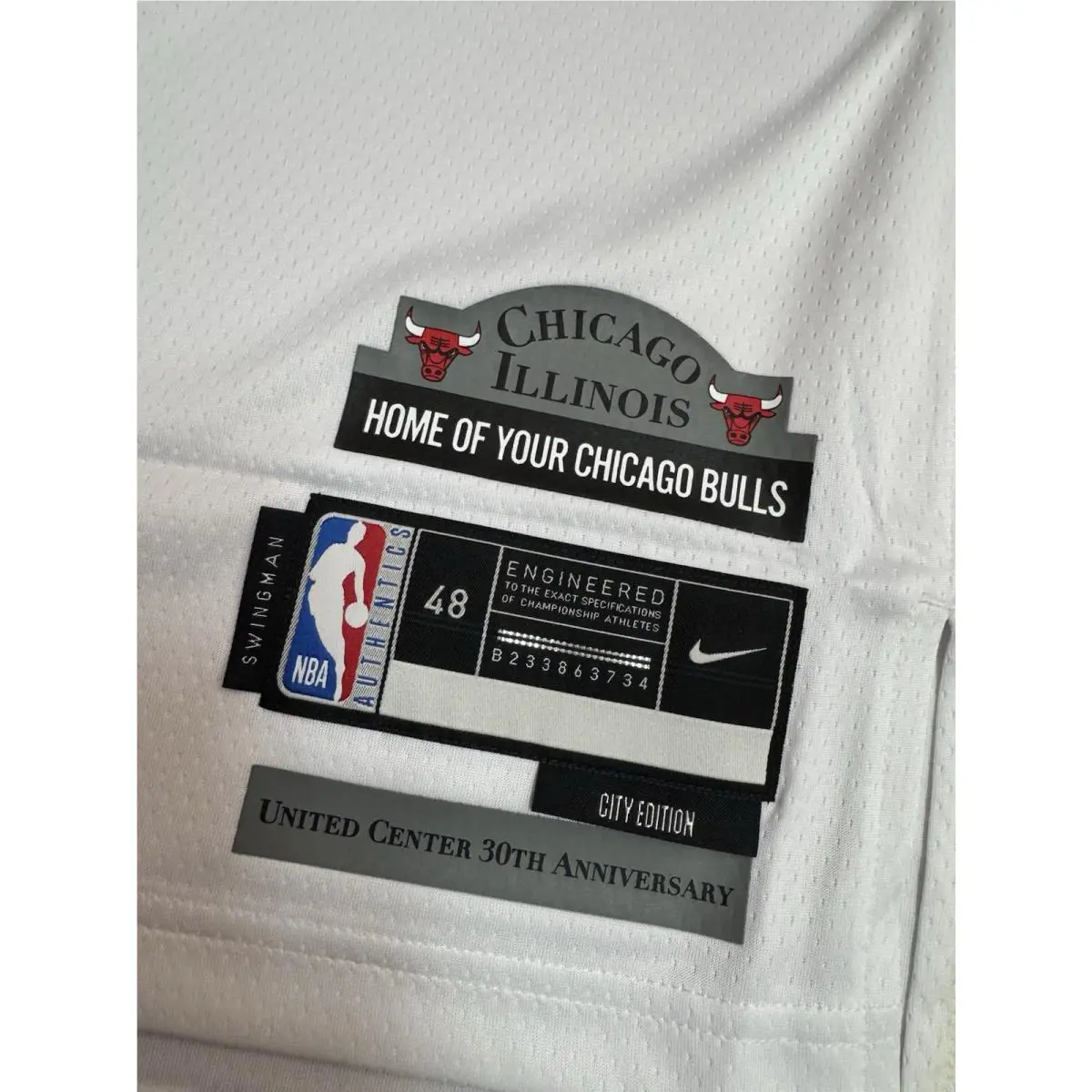 Nike clothing - Nike NBA Zach LaVine - NBA Zach LaVine - FQ4337-100 - White (UPC: 197600110298) 0