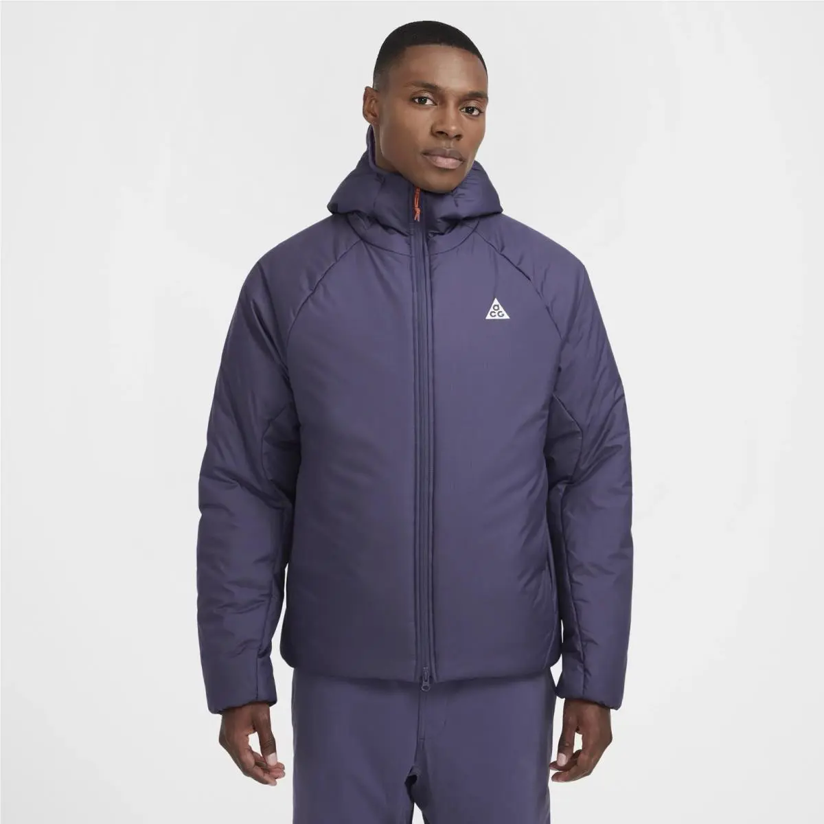 Nike clothing - Nike Dri-Fit - Purple 9