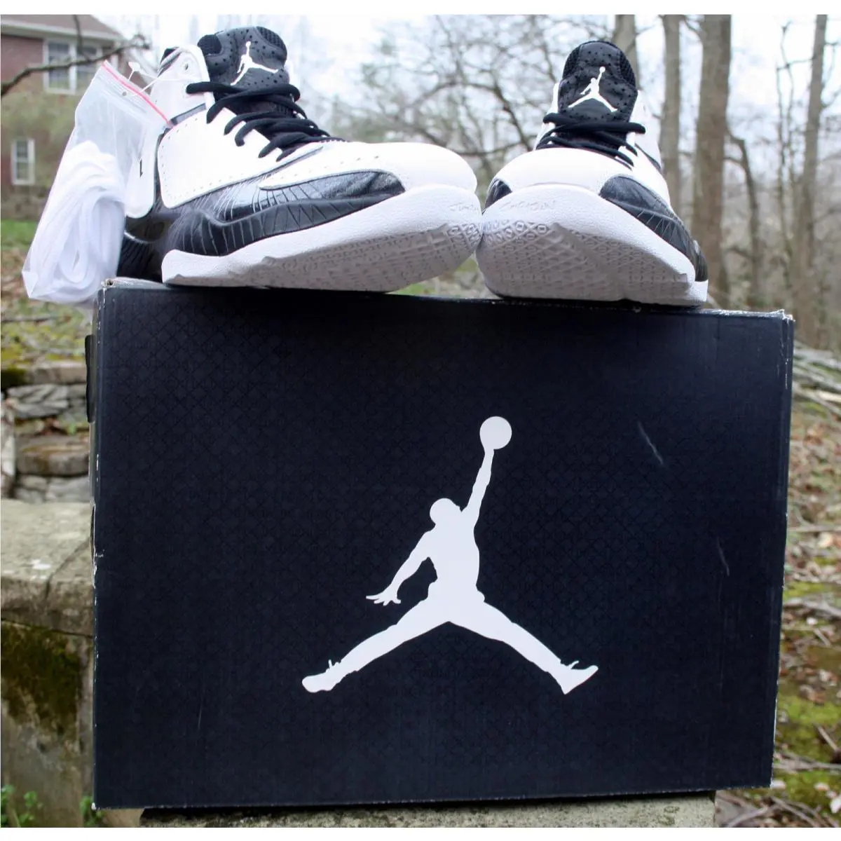 Nike shoes - Nike Air Jordan 2012 A - 508318-180 - White/black/black (UPC: 820652390058) 11