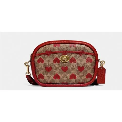 Coach Camera Bag In Signature Canvas with Heart Print and Leather