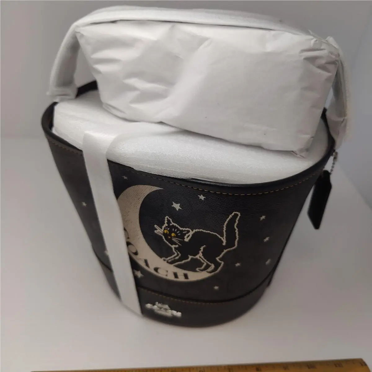 Limited Edition 2024 Coach Cat Moon Print Bucket Bag Black Halloween