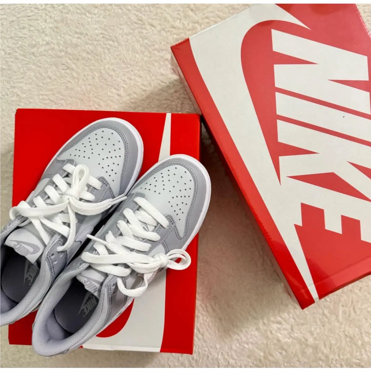 Nike shoes - Nike Dunk Retro Low - Dunk Retro Low - DD1391-103 - WHITE/GREY FOG 7