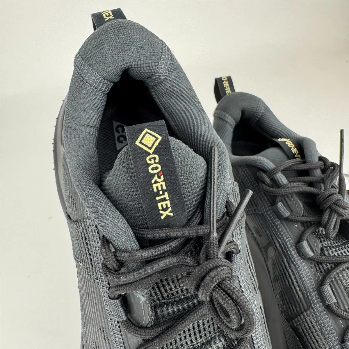 Nike shoes - Nike ACG Mountain Fly 2 - HF6245-001 - Black 1