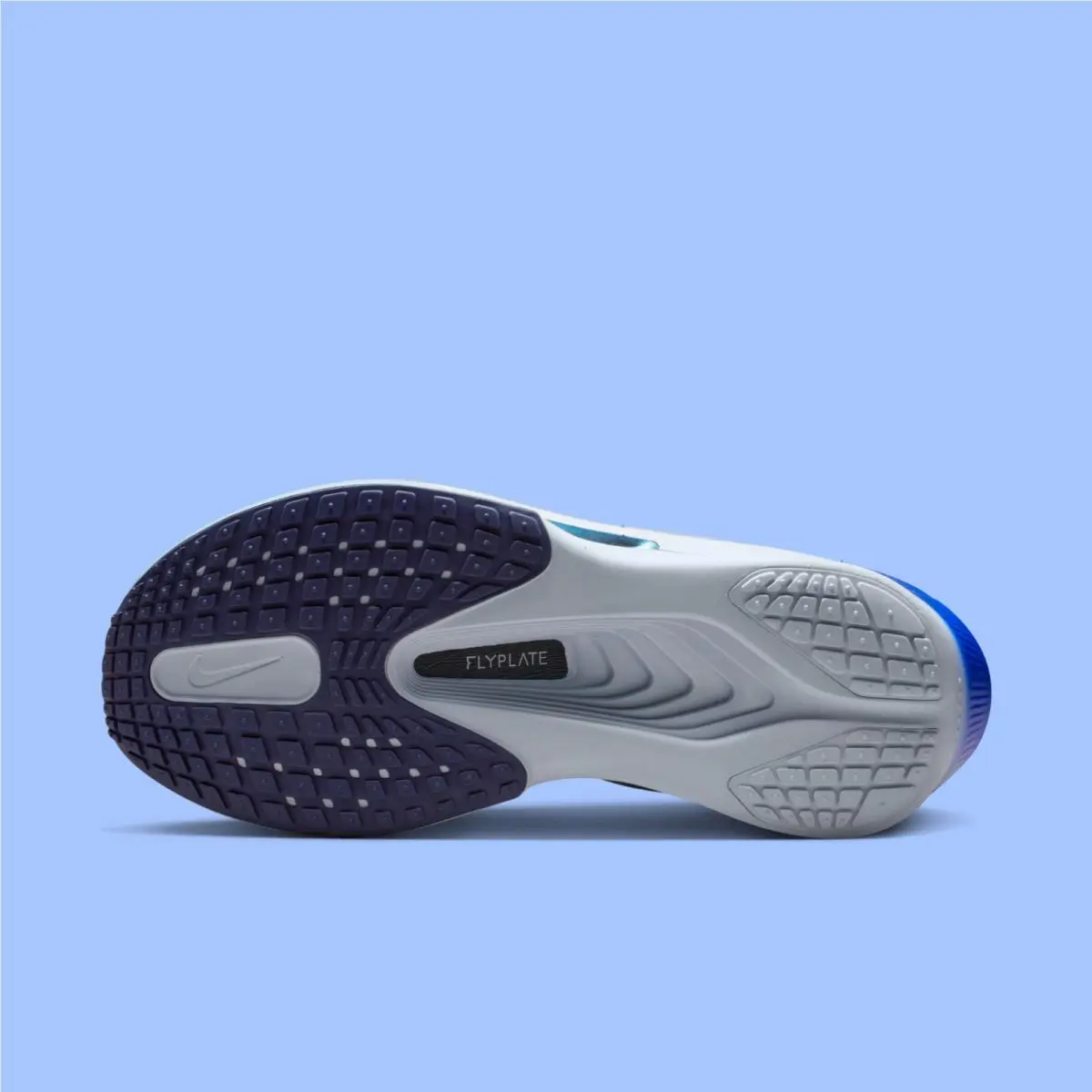Nike shoes - Nike Zoom Fly - Zoom Fly - FN8455-602 - Blue 1