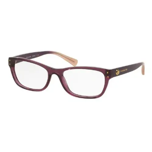 Coach HC6082 Crystal Plum Blush Gradient Eyeglass 53-17-135