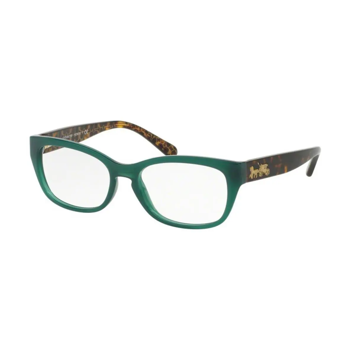 Coach HC6104 Teal/dark Tortoise Gold Signature C 50-16-140