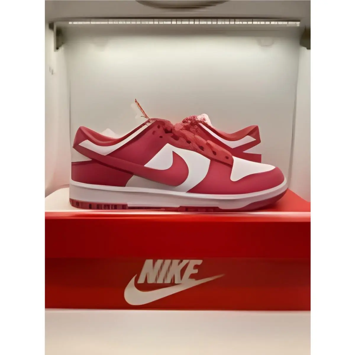 Nike shoes - Nike Dunk Low - Dunk Low - DD1503-111 - Pink 11
