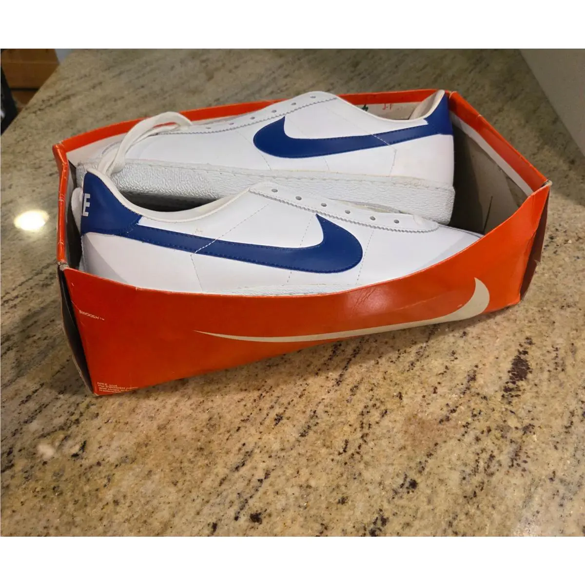 Nike shoes - Nike Bruin - Bruin - Blue White 18