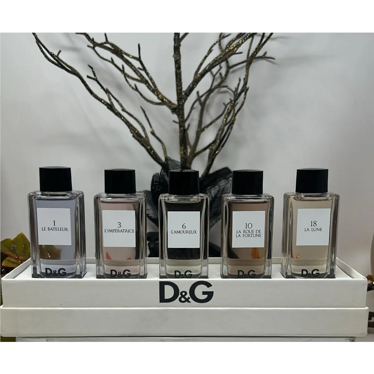 Dolce and Gabbana Anthology Collections Set Women 5 x 0.67 oz Eau De Toilette